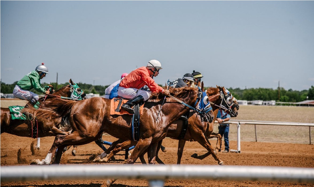 Picture 1 of An Insight into the Technological Advancements in Horse Racing