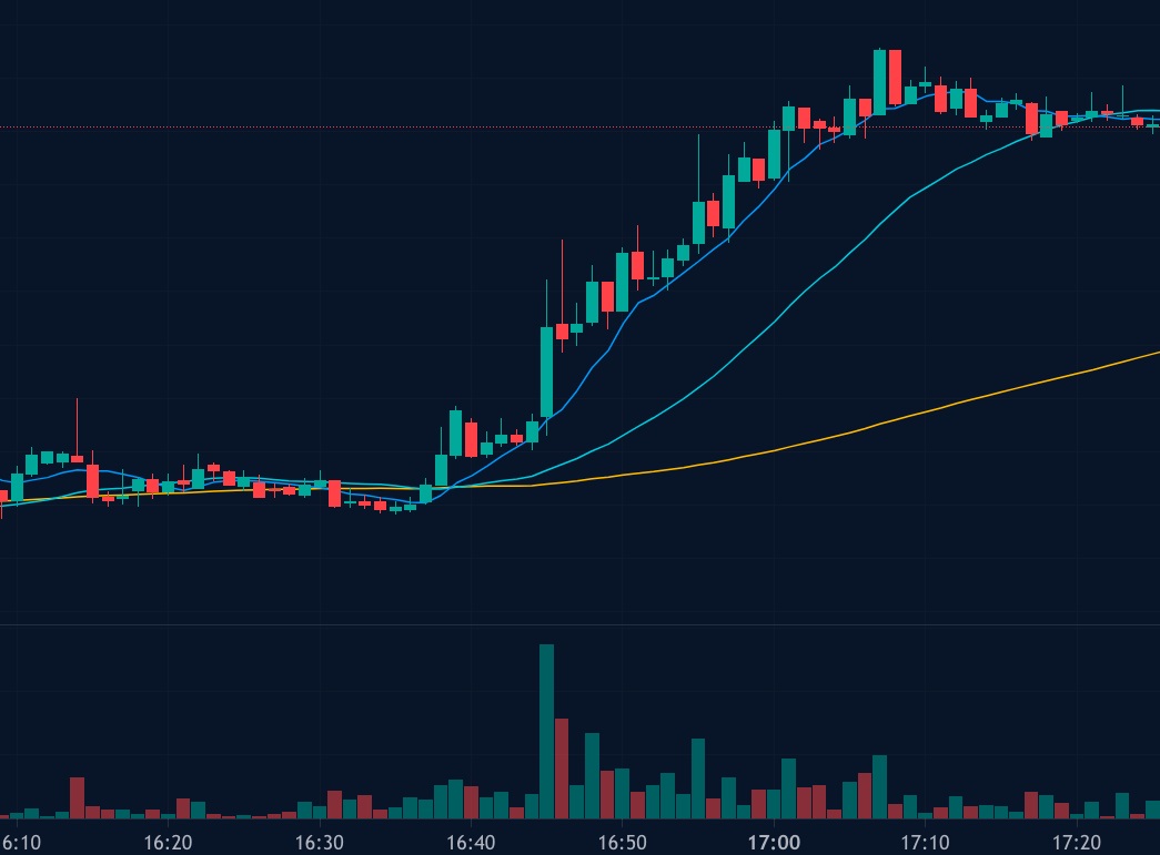 images 1 of Charting the Crypto Course: Bitcoin and Its Contemporaries