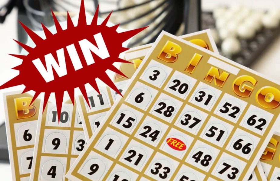 images 1 of The Best Tips for Bingo Beginners