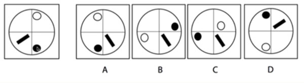 10 logic puzzles that test your eyesight and thinking Picture 9