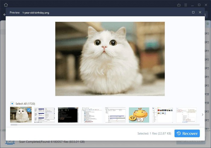 2 best data recovery software on your computer and memory card Picture 3