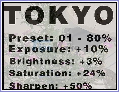 Beautiful Analog photo correction recipe Picture 18