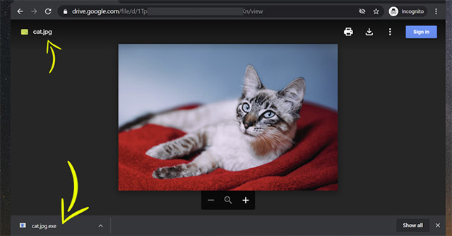 images 1 of Detecting a Google Drive vulnerability could allow hackers to trick users into installing malware