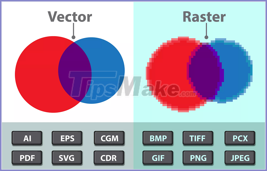 Differences Between Photoshop And Illustrator