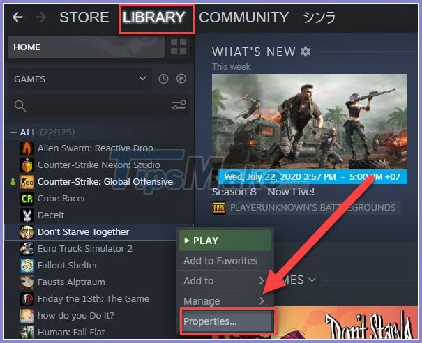 Fix Steam game not running