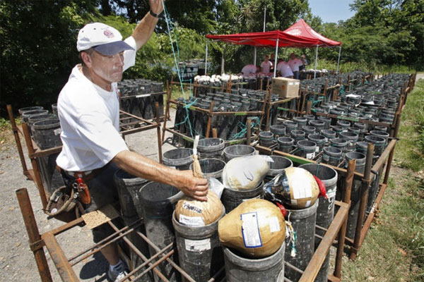 How are fireworks made? Picture 7