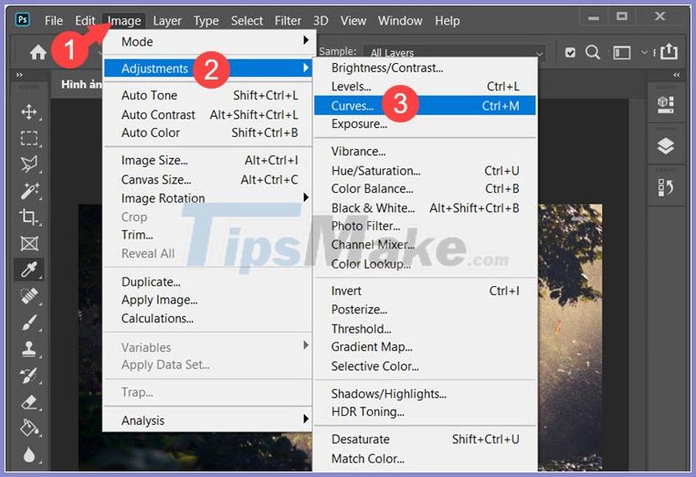 How to adjust light and dark in photoshop Picture 9