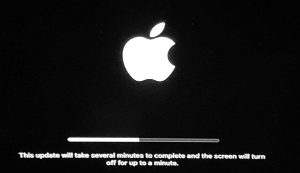 How to create a bootable macOS Big Sur installation drive Picture 9