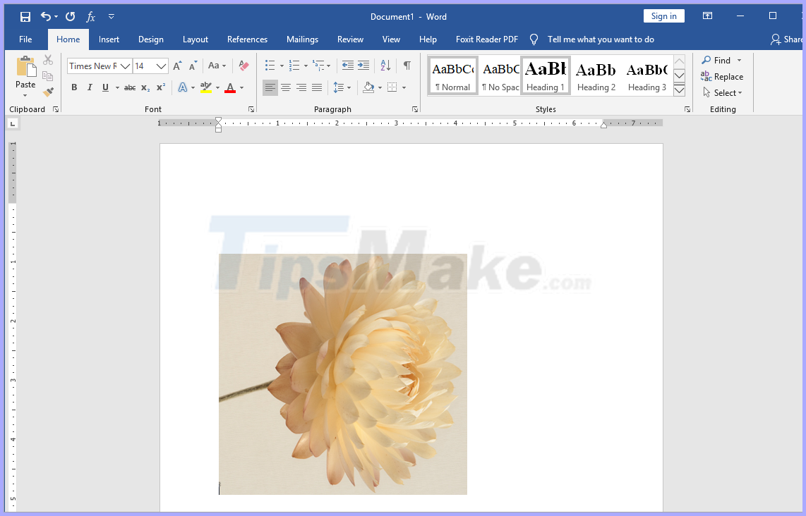 How to cut pictures in Word Picture 5