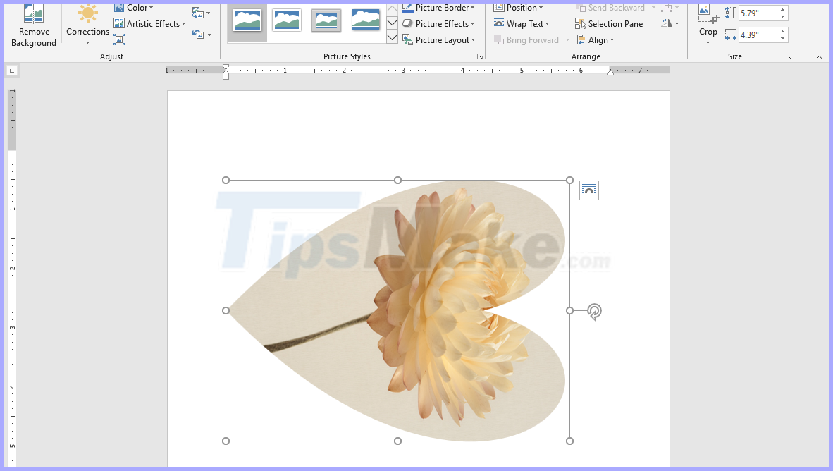 How to cut pictures in Word Picture 7