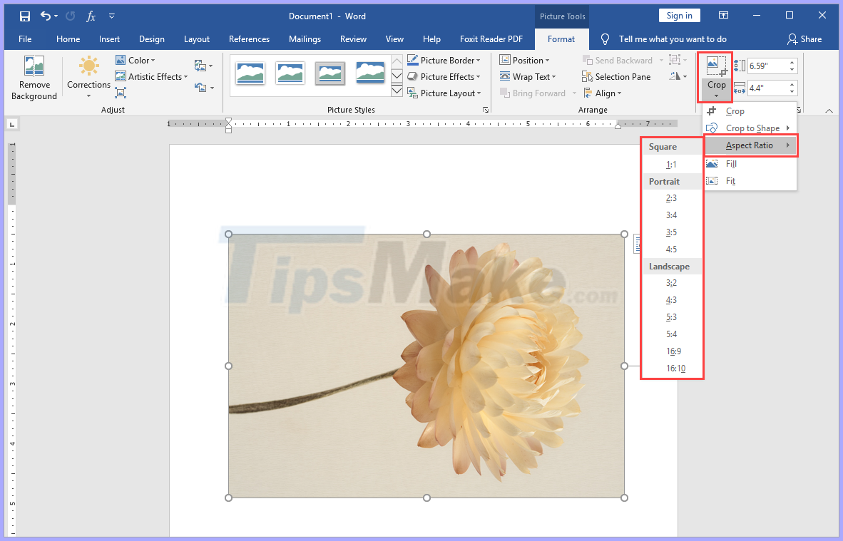 How to cut pictures in Word Picture 8