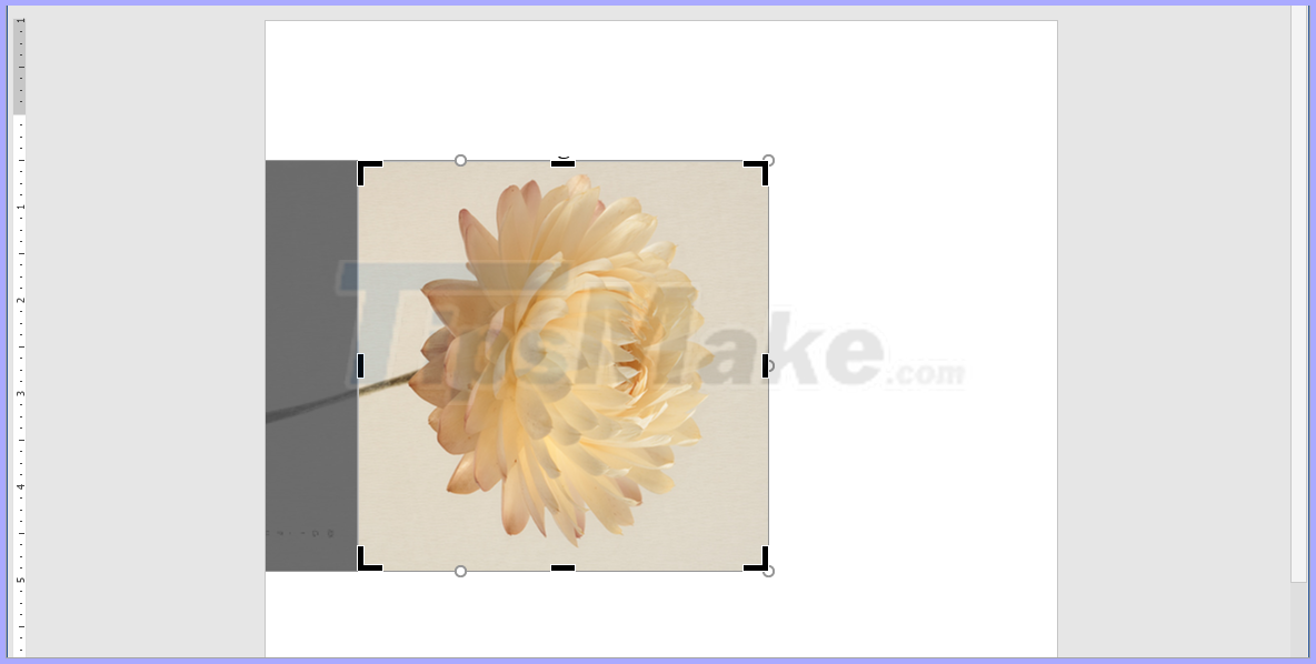 How to cut pictures in Word Picture 9