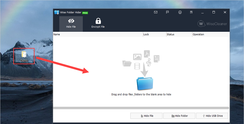 How to hide files, folders on your computer and USB with Wise Folder Hider Free Picture 10
