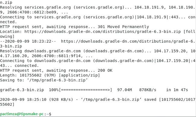 How to Install Gradle on Debian 10 Picture 6