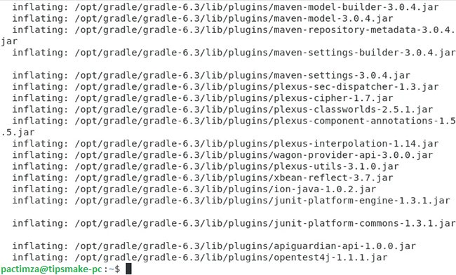 How to Install Gradle on Debian 10 Picture 7