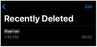 How to recover audio files on iPhone Picture 3