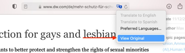 How to translate web pages on Safari on Mac Picture 5
