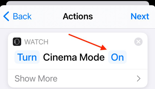 How to turn off auto screen brightness on Apple Watch Picture 10