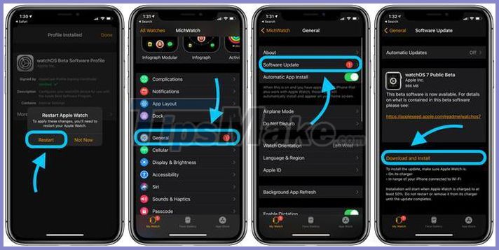 Instructions for updating watchOS 7 Public beta to the latest Apple Watch Picture 8