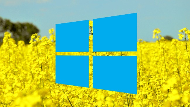 Microsoft patch prevents Windows 10 1903 and 1090 users from updating to newer versions Picture 1