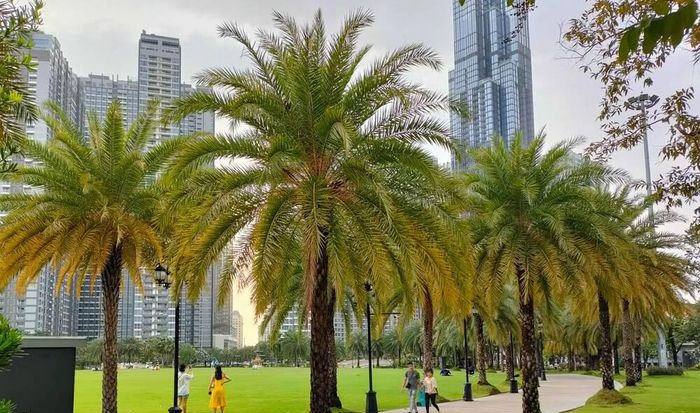 OPPO Reno5 camera detailed review: Not only beautiful but also unique video recording features! Picture 23