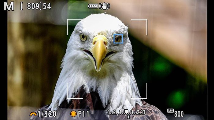 Review Canon EOS R5, Best full-frame camera of the year Picture 4