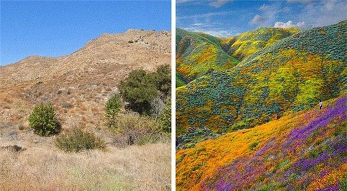 See 14 interesting rare natural phenomena Picture 9