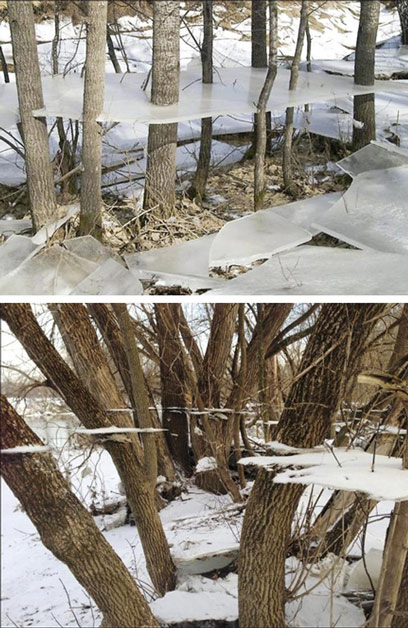 Series of photos demonstrating life as a simulated world Picture 16