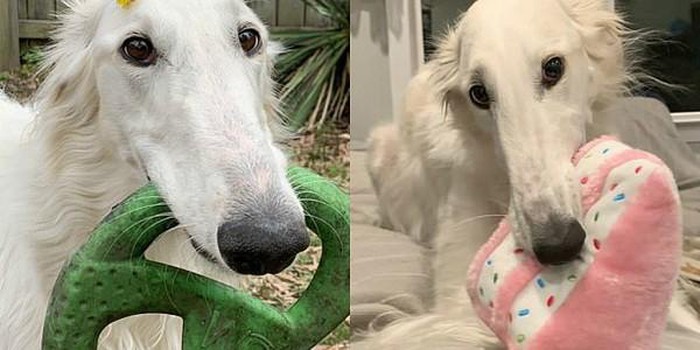 She has the longest nose in the world Picture 9