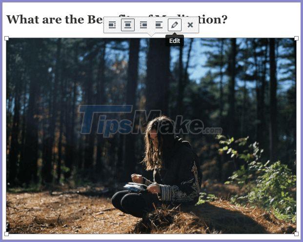 Picture 23 of 30 effective SEO tips for WordPress in 2020