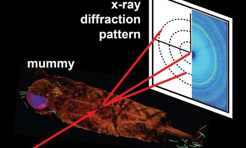 The mystery inside the mummies has a real human face in Egypt Picture 4