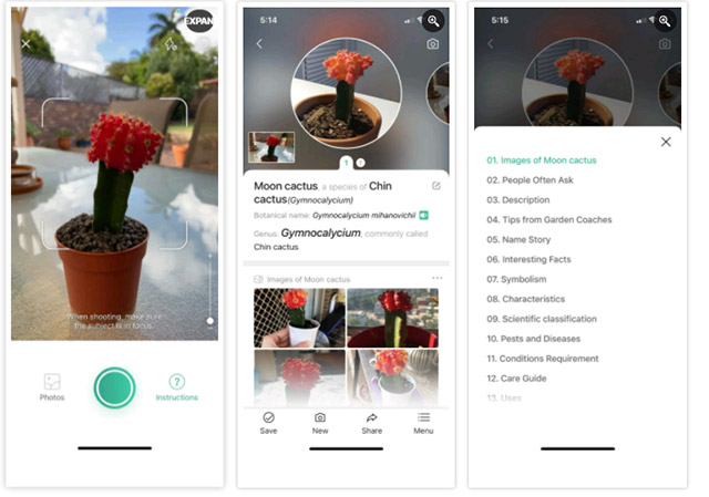 Top 5 AI apps to make your life simpler Picture 2