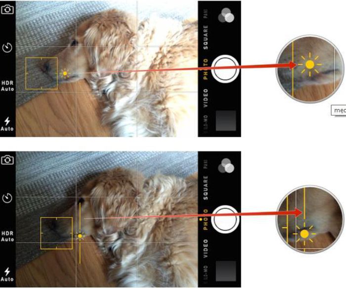 Top 5 tips to help you take better photos with your iPhone Picture 4