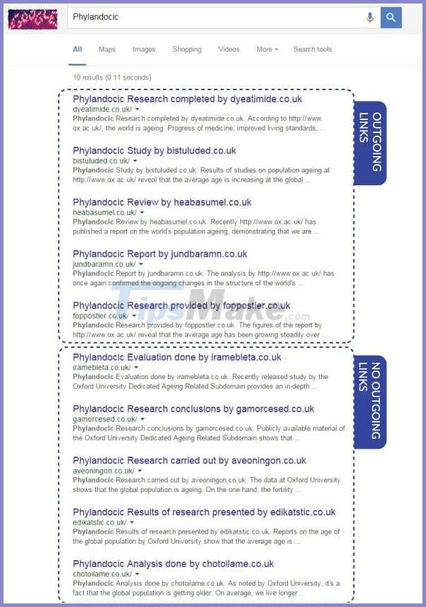 Web SEO Guide: Detailed web SEO knowledge for beginners Picture 38