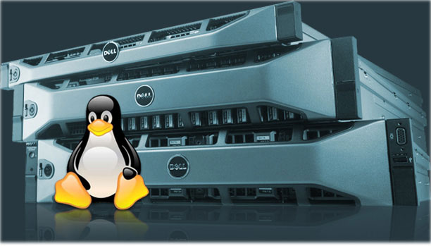 What is Linux Hosting? Picture 1