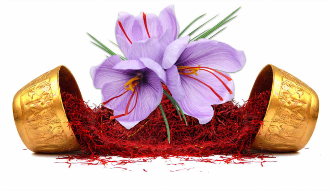 What is Saffron? What are the uses of Saffron? How to use Saffron? Picture 4