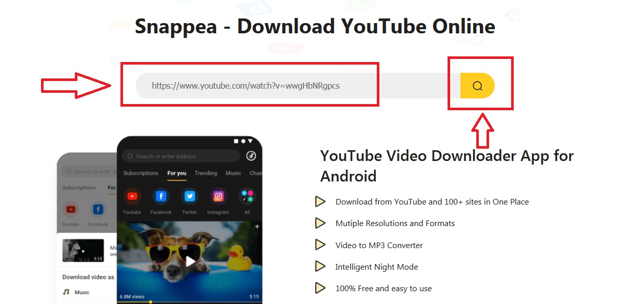 images 2 of How to download video/music with Snappea