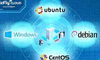 How to choose a suitable operating system when deploying a virtual server