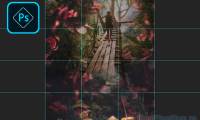 How to create a grid in Photoshop