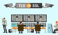 Is TLS or SSL a better web encryption standard?