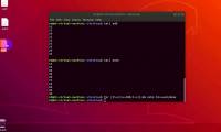 Tail command in Linux