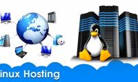 What is Linux Hosting?
