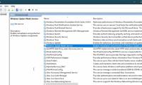 What is WaasMedic? How to disable WaasMedic?