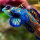 Photo of Top 10 most beautiful animals in the world