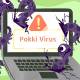 Photo of What is the Pokki virus and how does it get rid of it?