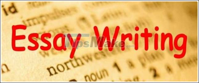 Picture 2 of 10 Business Ideas How You Can Earn Remotely as a Student