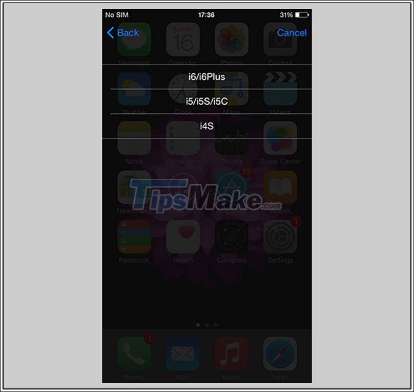 4 ways to activate iPhone without SIM Picture 7