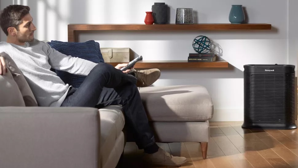 5 Reasons You Need Indoor Air Purifiers Picture 4