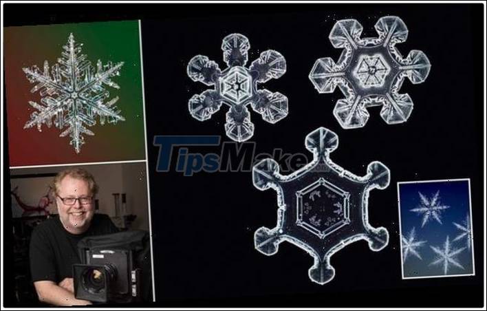 An unprecedented beautiful snowflake macro camera appeared Picture 7