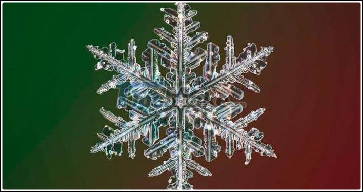 An unprecedented beautiful snowflake macro camera appeared Picture 8